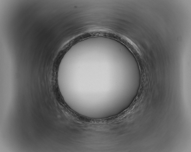 X0000111450775200907131040