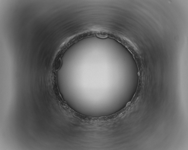 X0000111450776200907131040