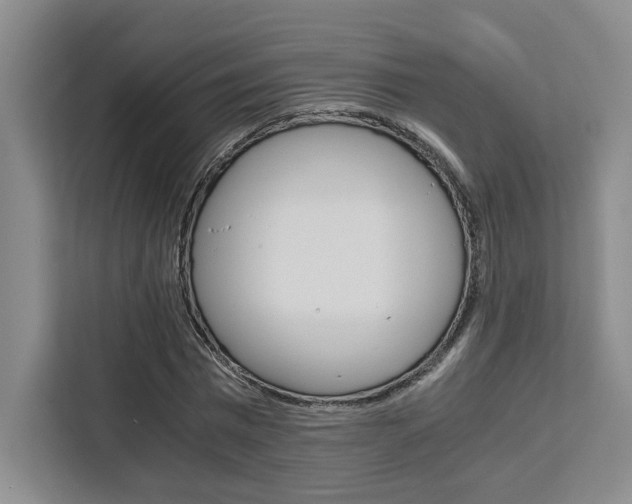 X0000111450777200907131040