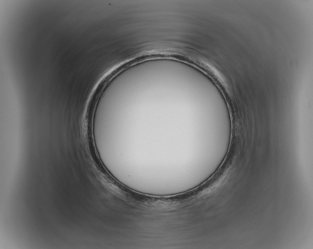 X0000111450779200907131040