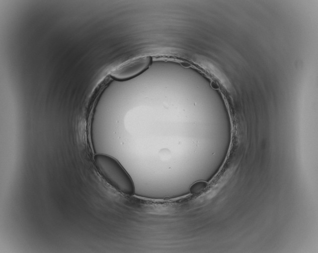 X0000111450781200907131040