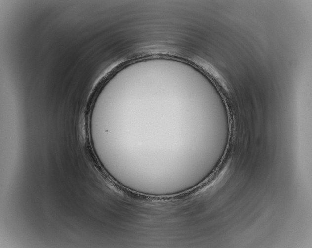 X0000111450782200907131040