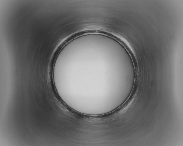 X0000111450783200907131040