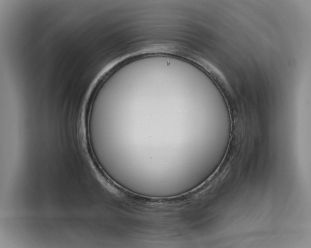 X0000111450792200907131040