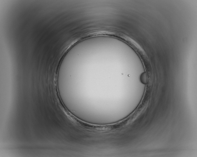 X0000111450793200907131040