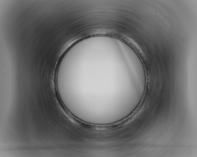 X0000111450794200907131040