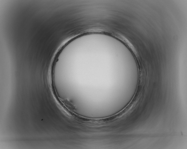 X0000111450795200907131040