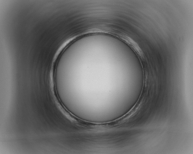 X0000111450796200907131040