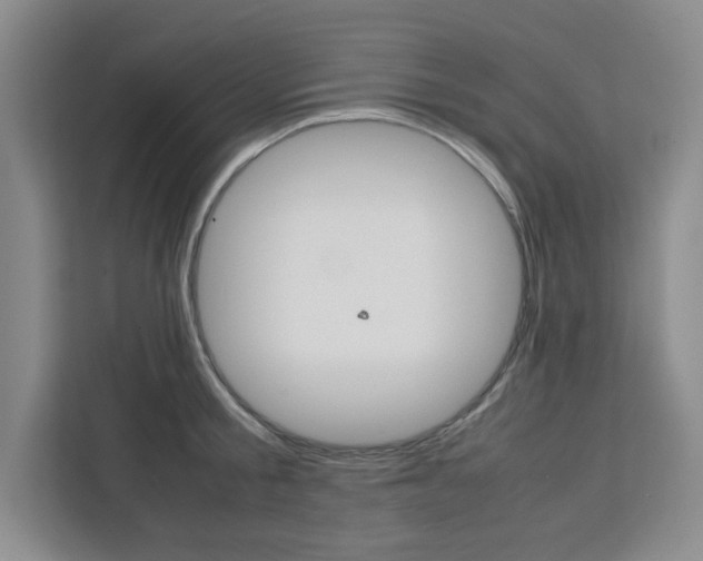 X0000111450805200907131040