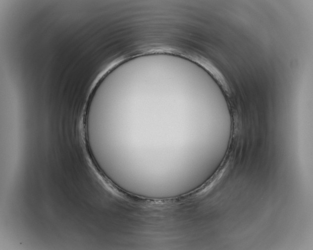 X0000111450806200907131040