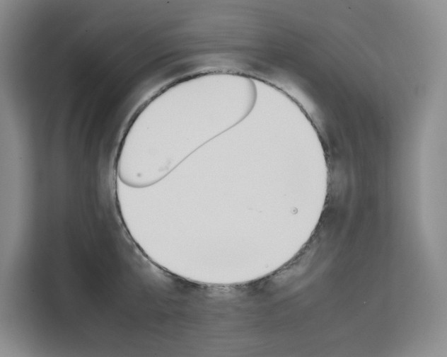 X0000111450807200907131040