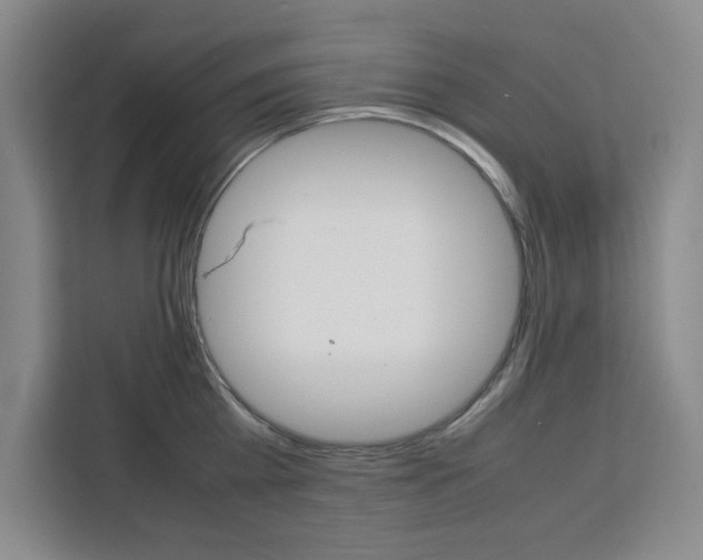 X0000111450809200907131040