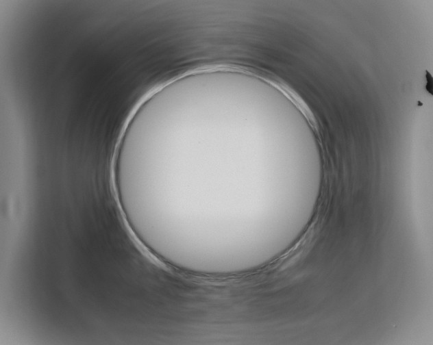 X0000111450813200907131039