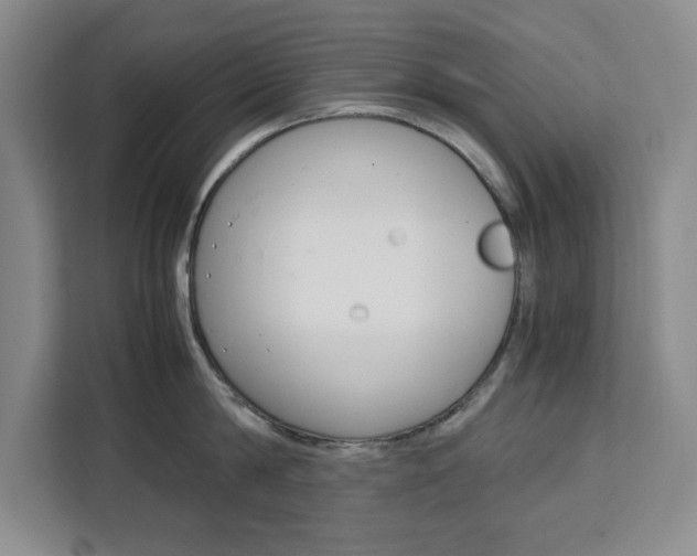 X0000111450814200907131039