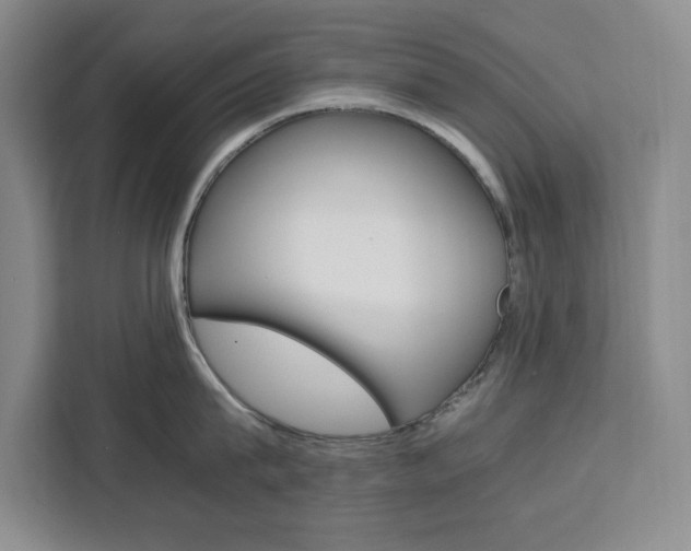 X0000111450815200907131039
