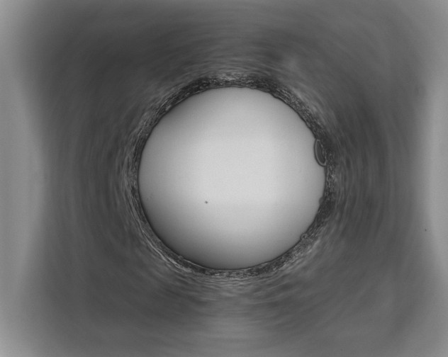 X0000111450817200907131039