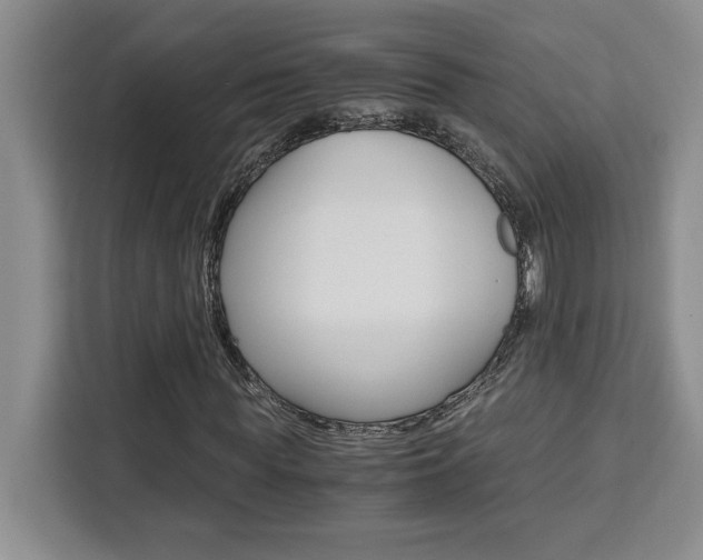 X0000111450819200907131039