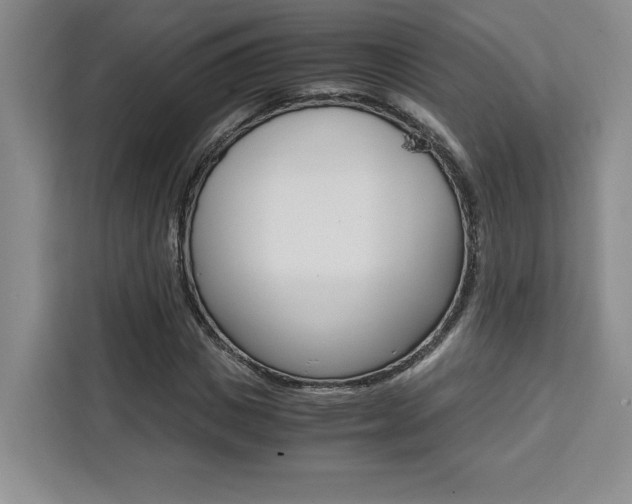 X0000111450825200907131039