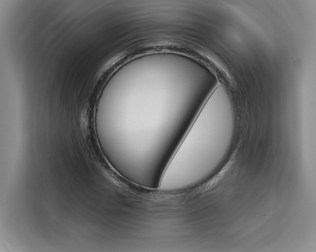 X0000111450826200907131039