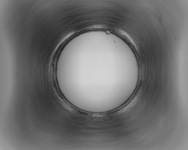 X0000111450827200907131039