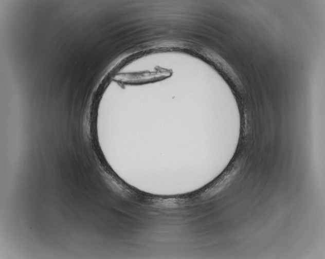 X0000111450828200907131039