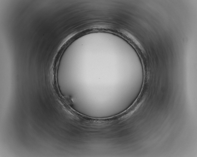 X0000111450829200907131039