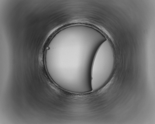 X0000111450830200907131039