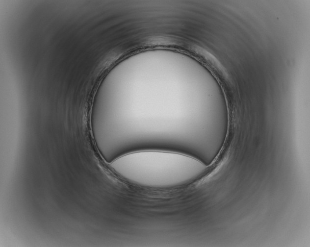 X0000111450833200907131039