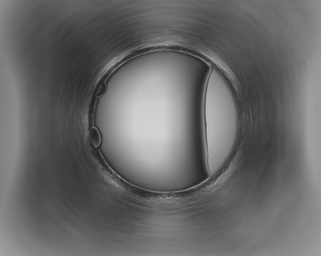 X0000111450834200907131039