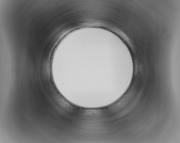 X0000111450836200907131039