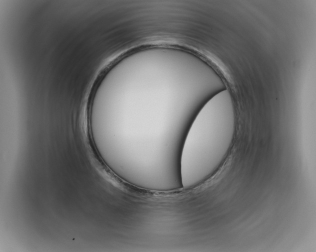 X0000111450840200907131039