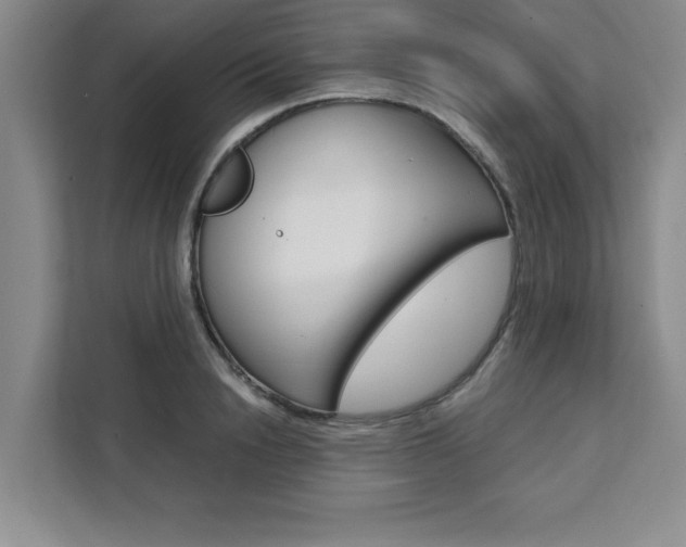 X0000111450846200907131039