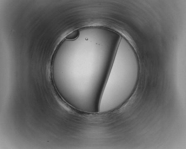 X0000111450850200907131039