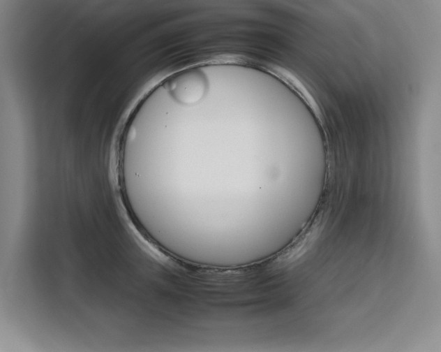 X0000111450851200907131039