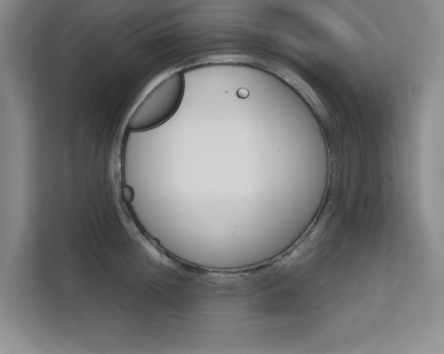 X0000111450852200907131039