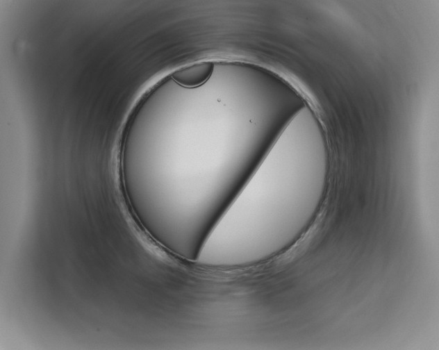 X0000111450854200907131039
