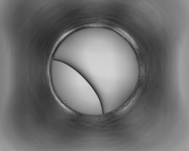 X0000111450855200907131039