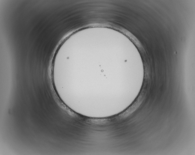 X0000111450856200907131039