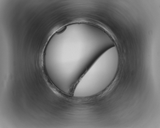X0000111450858200907131039