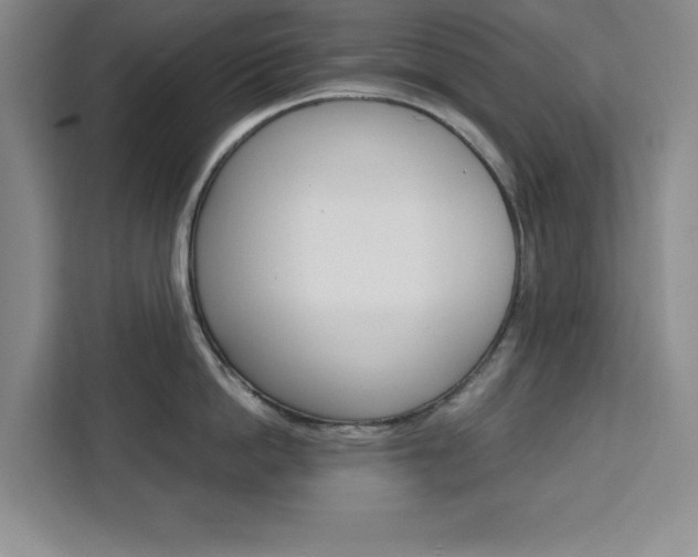 X0000111450862200907131039