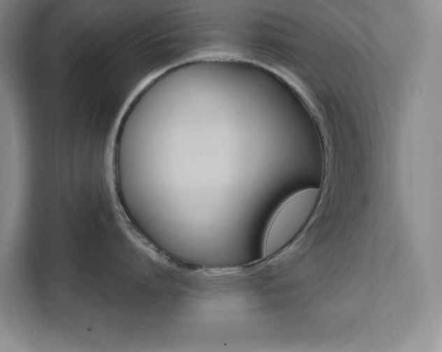 X0000111450864200907131039