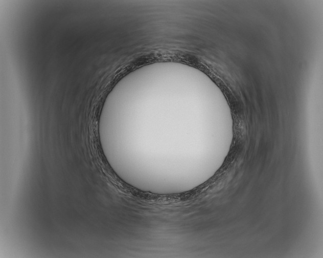 X0000111450865200907131039