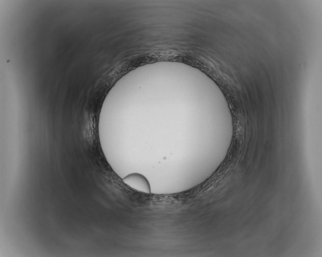 X0000111450866200907131039