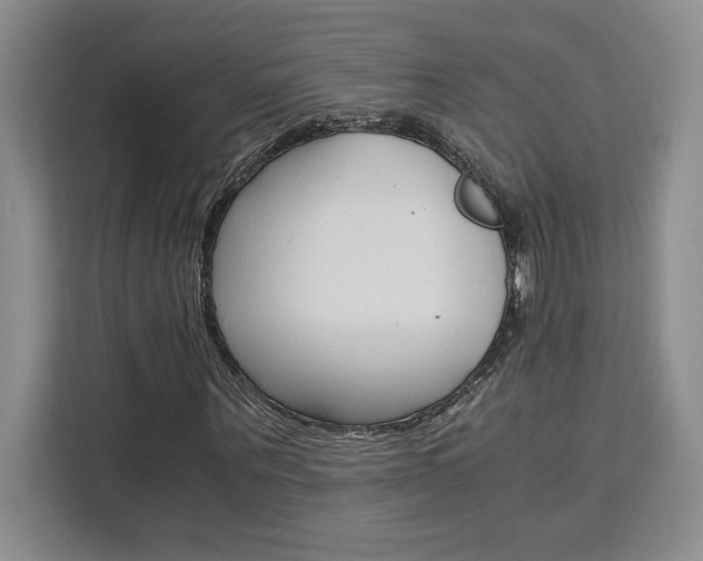X0000111450867200907131039