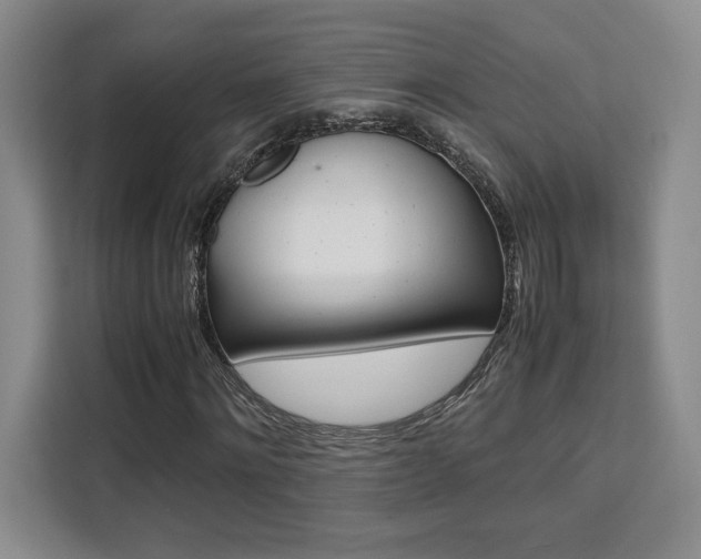 X0000111450868200907131039