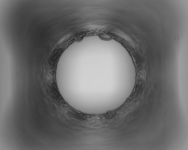 X0000111450869200907131039