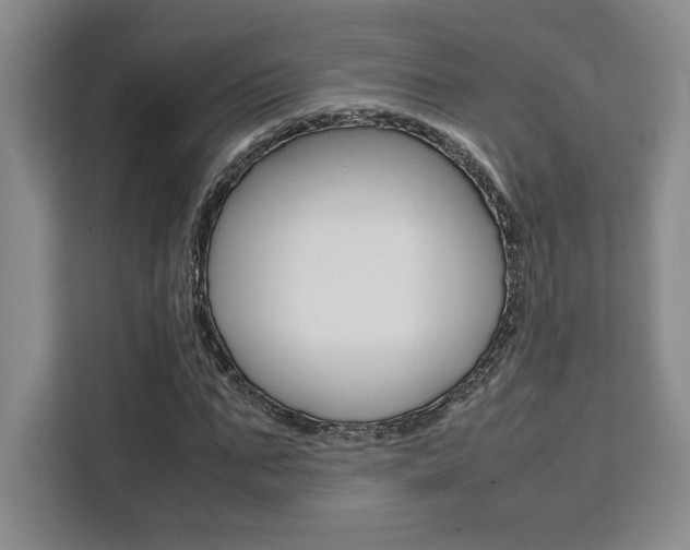 X0000111450871200907131039