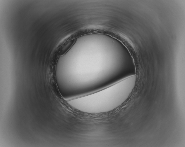 X0000111450872200907131039