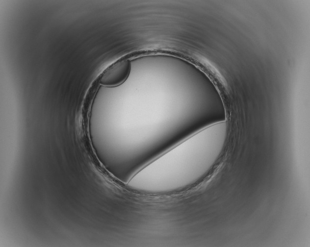 X0000111450876200907131039