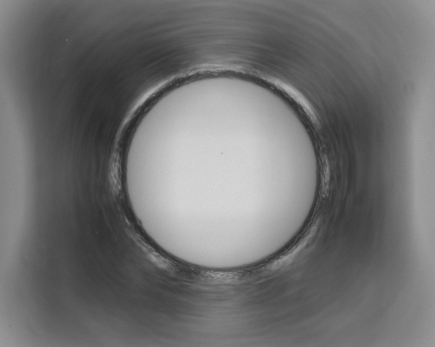 X0000111450878200907131039